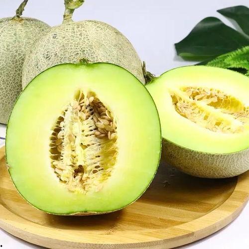 网红热瓜,揭秘网络红人的崛起与争议