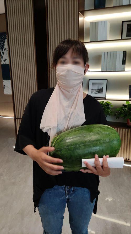 热门大瓜往期内容