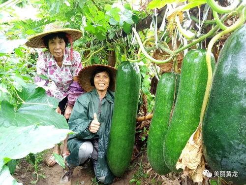 51热门大瓜今日大瓜最新 网红黑料爆料网