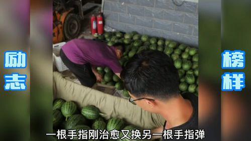 网 瓜老师,网瓜老师带你探索网络世界的奥秘